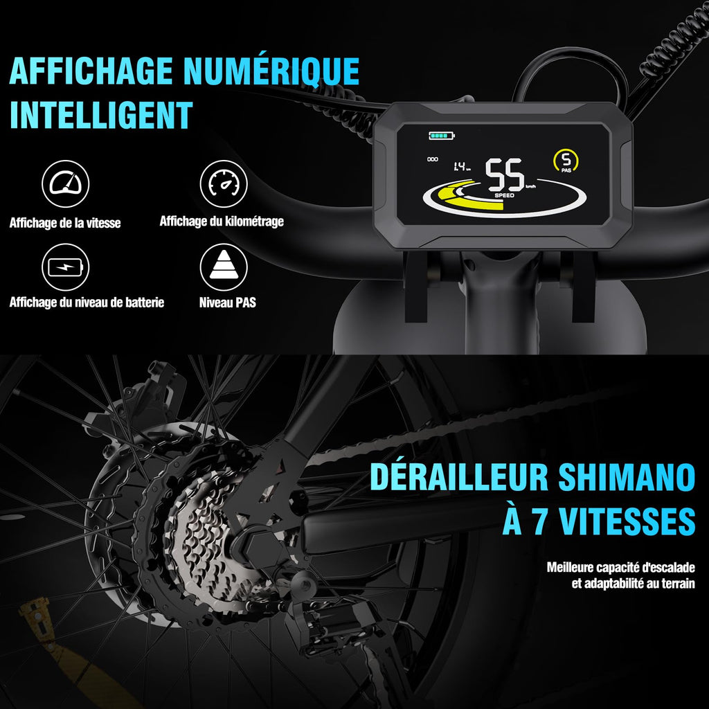 YVY Vélo Électrique, Batterie Amovible 20/40Ah, Autonomie 120km/150km/300km, Fat Bike Électrique, VTT Électrique 7 Vitesses, E-Bike Double Suspension, Double Disque, Écran LCD - Golden High-Tech