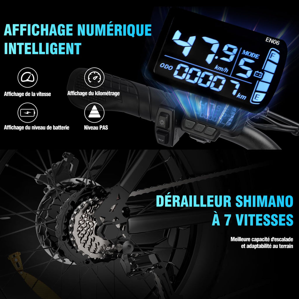 YVY Vélo Électrique, Batterie Amovible 20/40Ah, Autonomie 120km/150km/300km, Fat Bike Électrique, VTT Électrique 7 Vitesses, E-Bike Double Suspension, Double Disque, Écran LCD - Golden High-Tech
